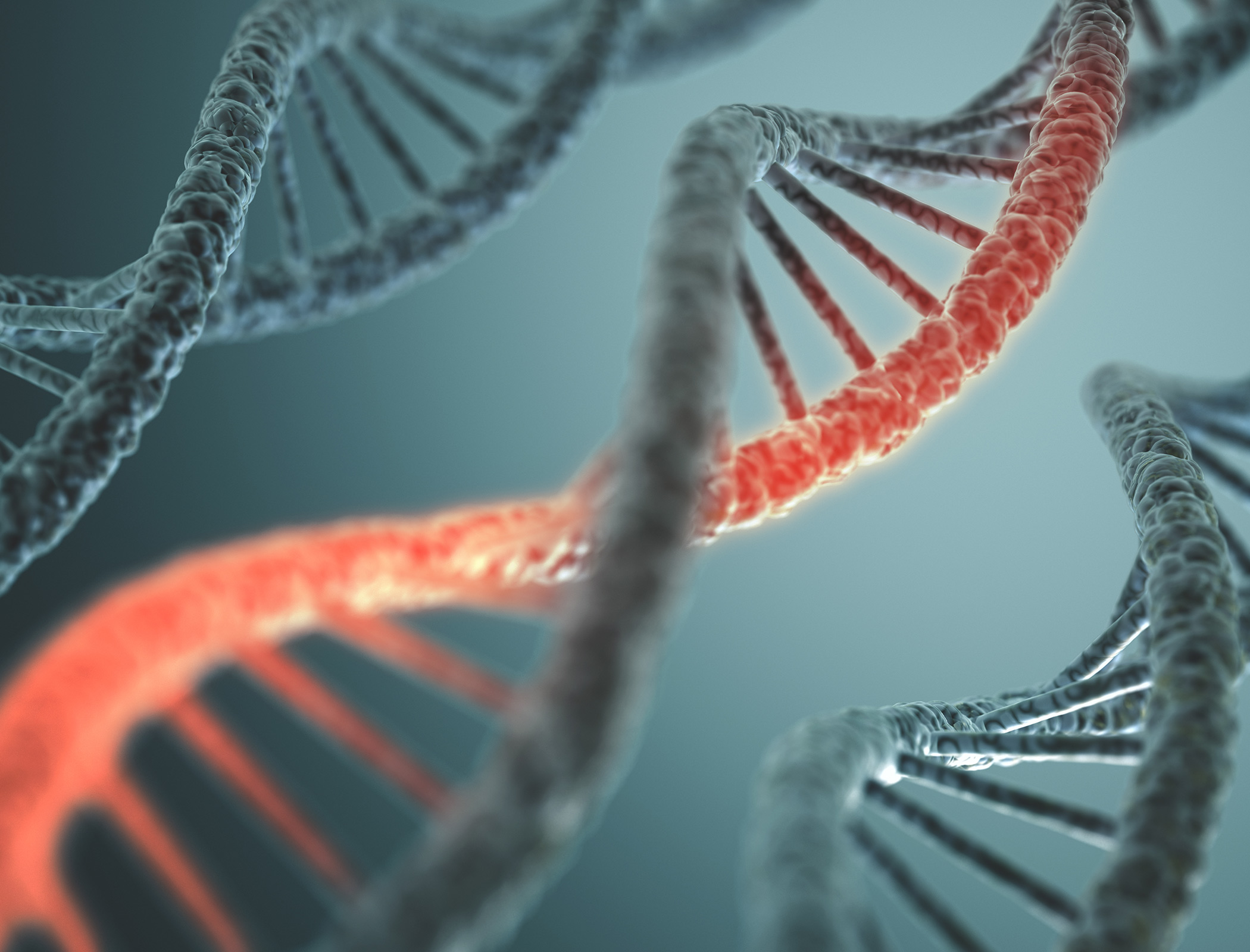 Molecular-sized motor created from DNA