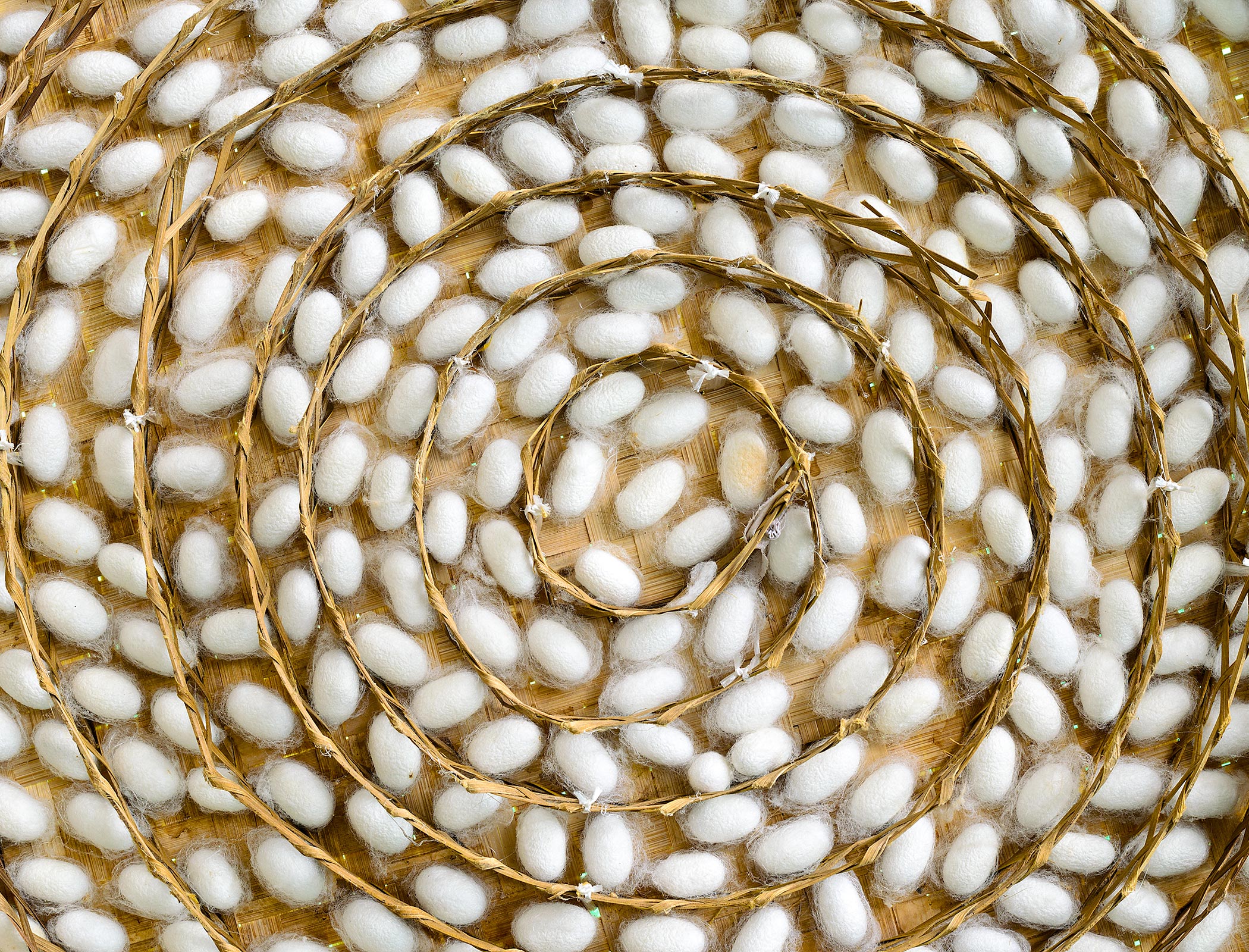 Biodegradable silk process developed to replace microplastics