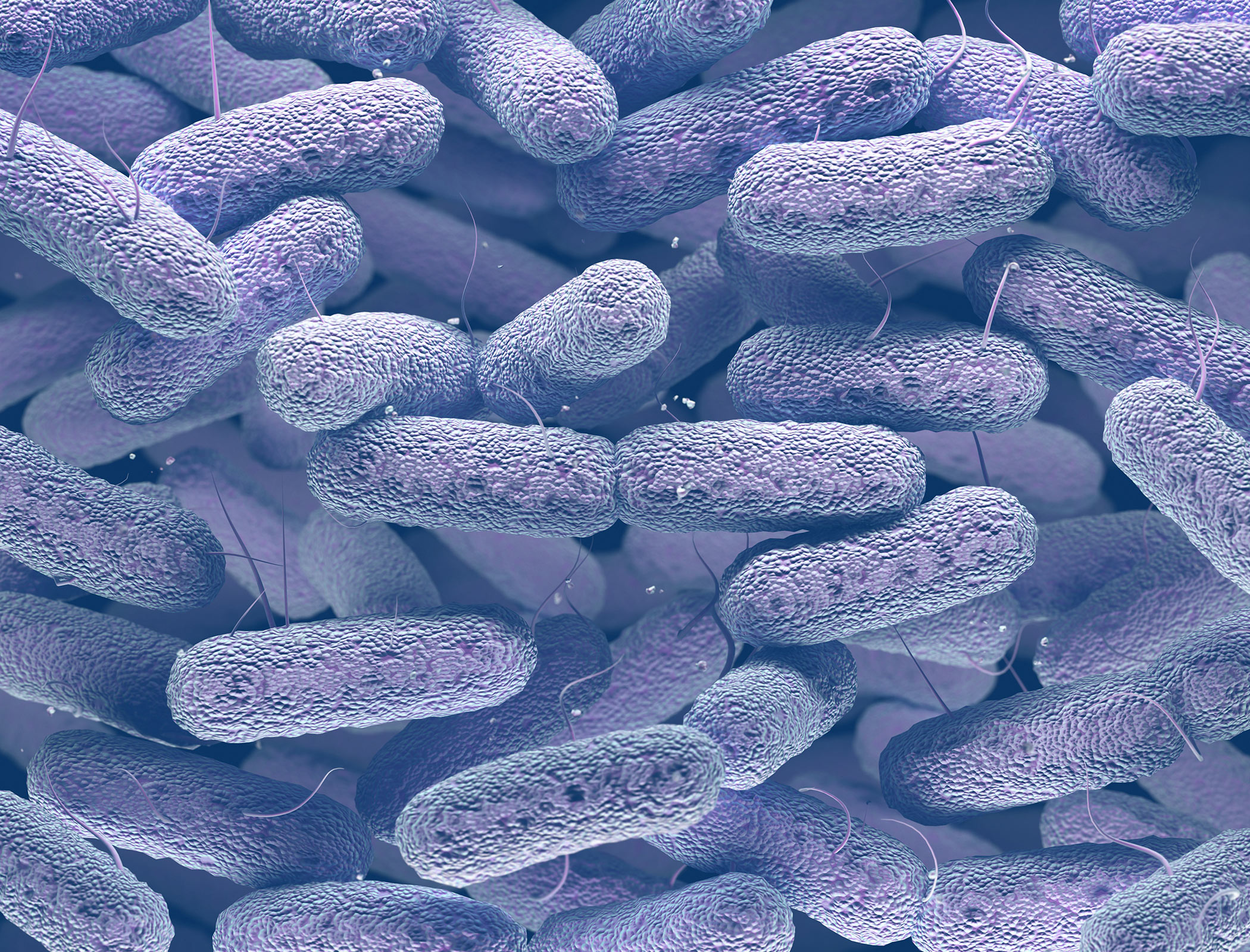 Researchers develop hydrogen battery from bacteria