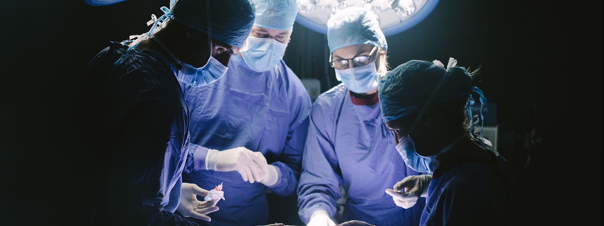 Implants embedded with antibiotics used to regenerate damaged bone