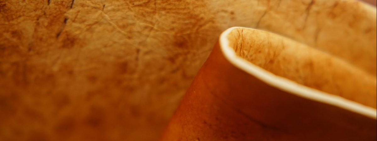 Fungus leather substitute offers greener alternative material