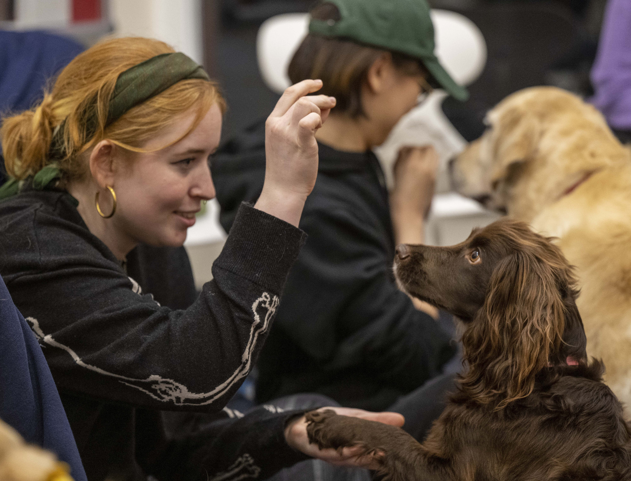 Dogs play lead role in university project for student wellbeing