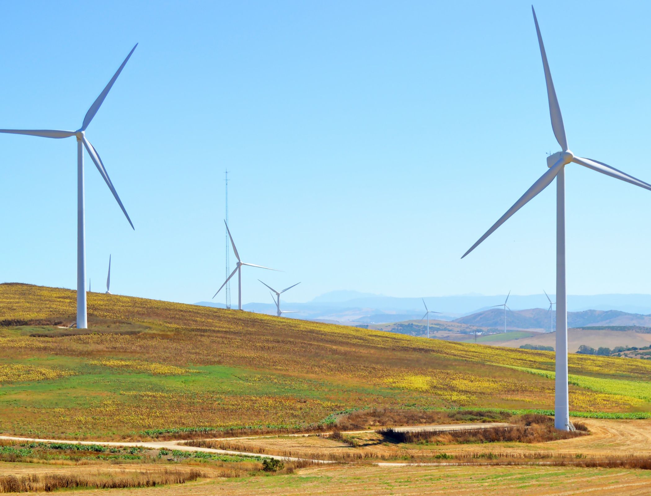 Land could be a major constraint in Europe’s green transition, research finds
