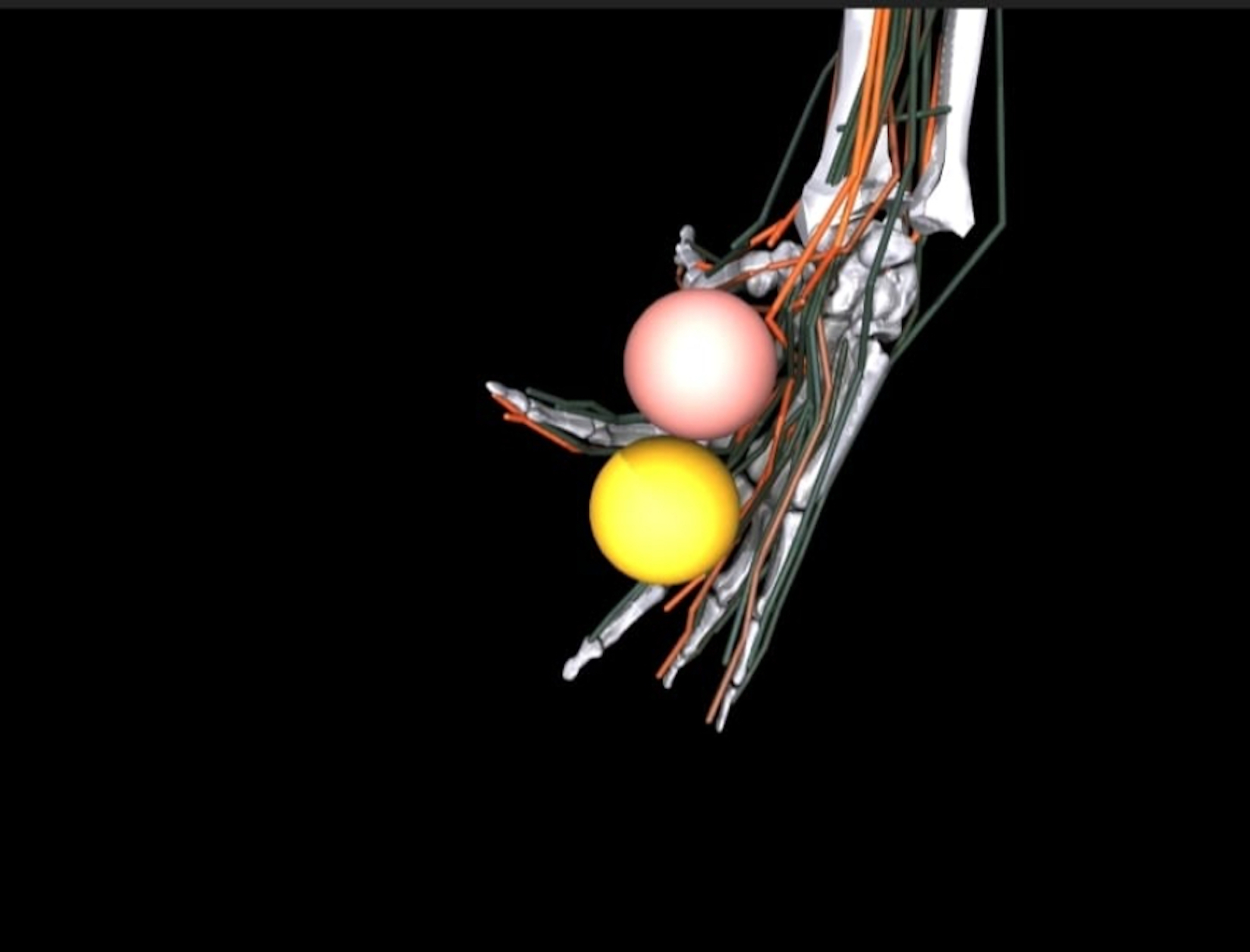 Meta creates digital human model to develop better prosthetics