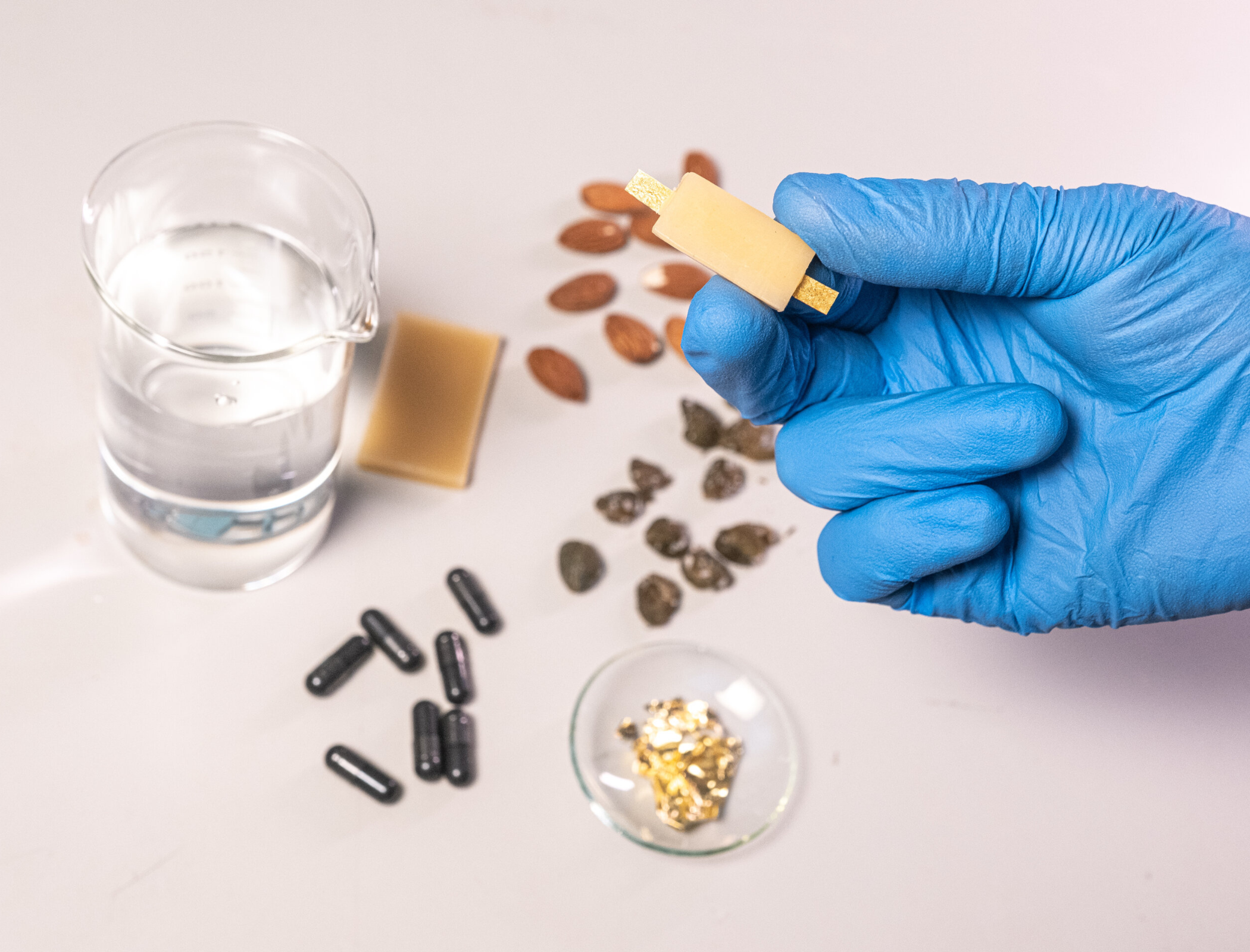 Researchers build edible rechargeable battery