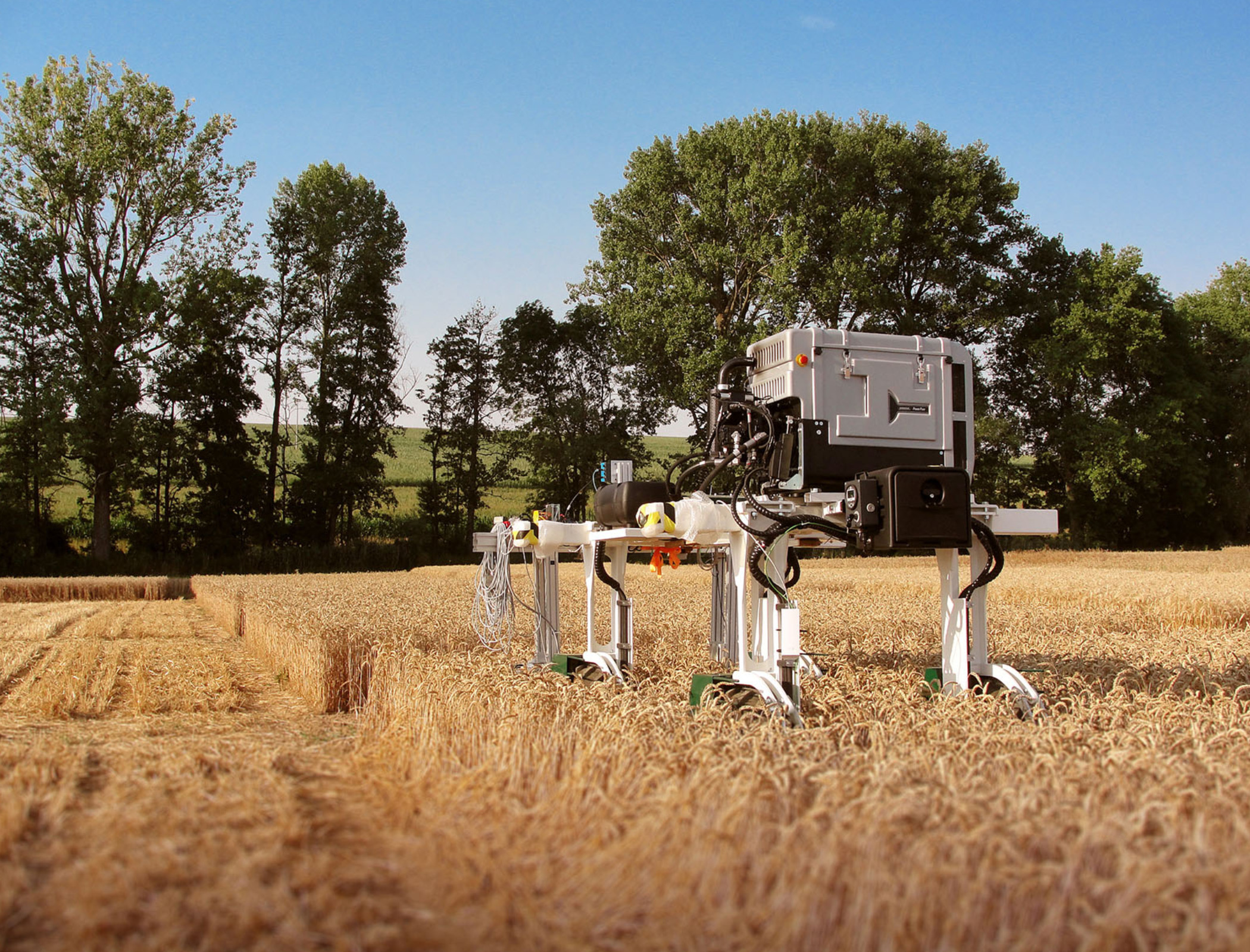 Heat-tolerant plants being bred to combat climate change