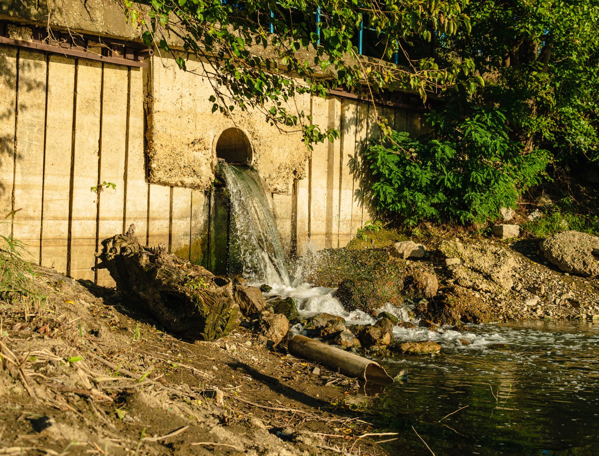 Water firms told to set out plans for ending sewage spills