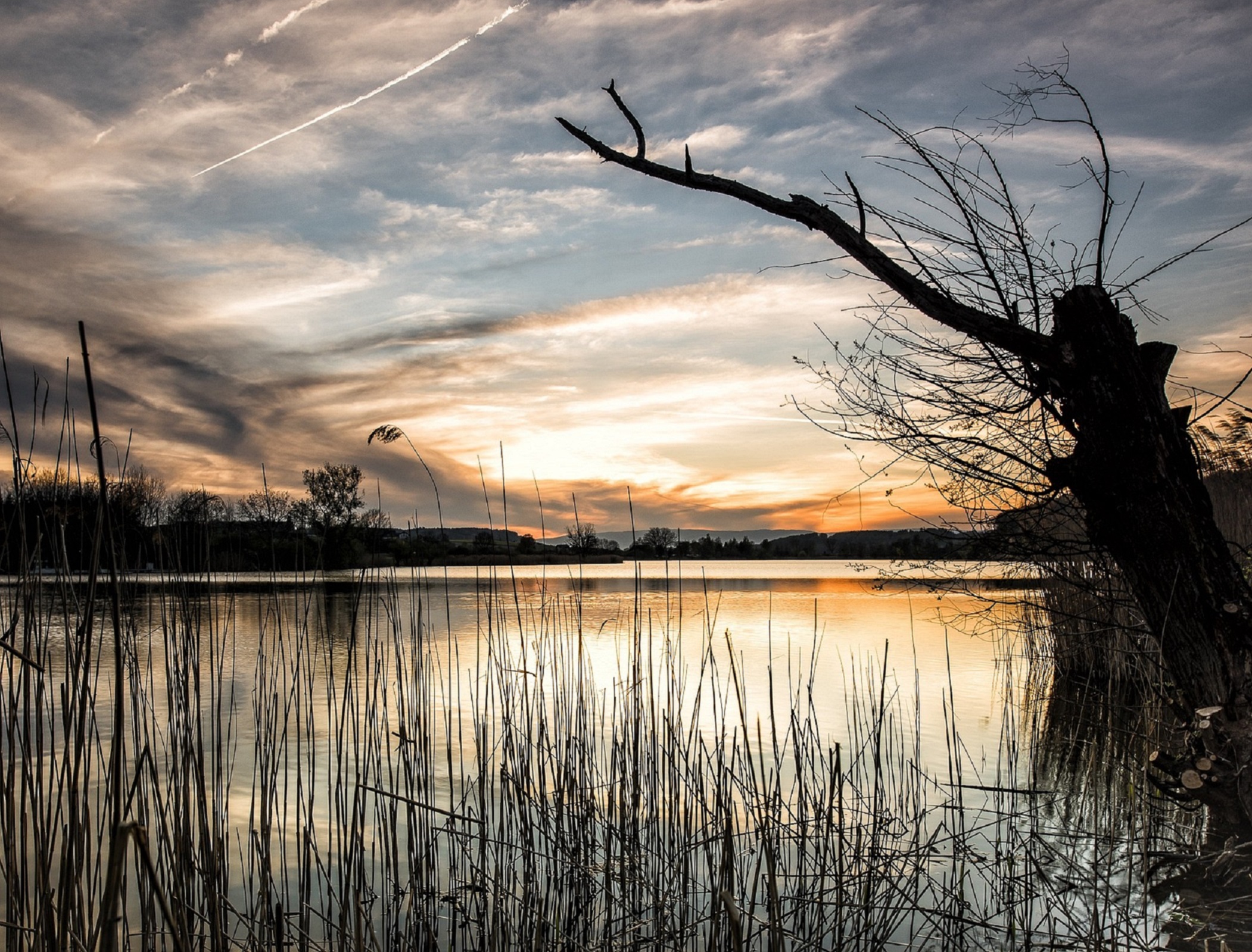 50 per cent cut in freshwater methane emissions possible, say researchers