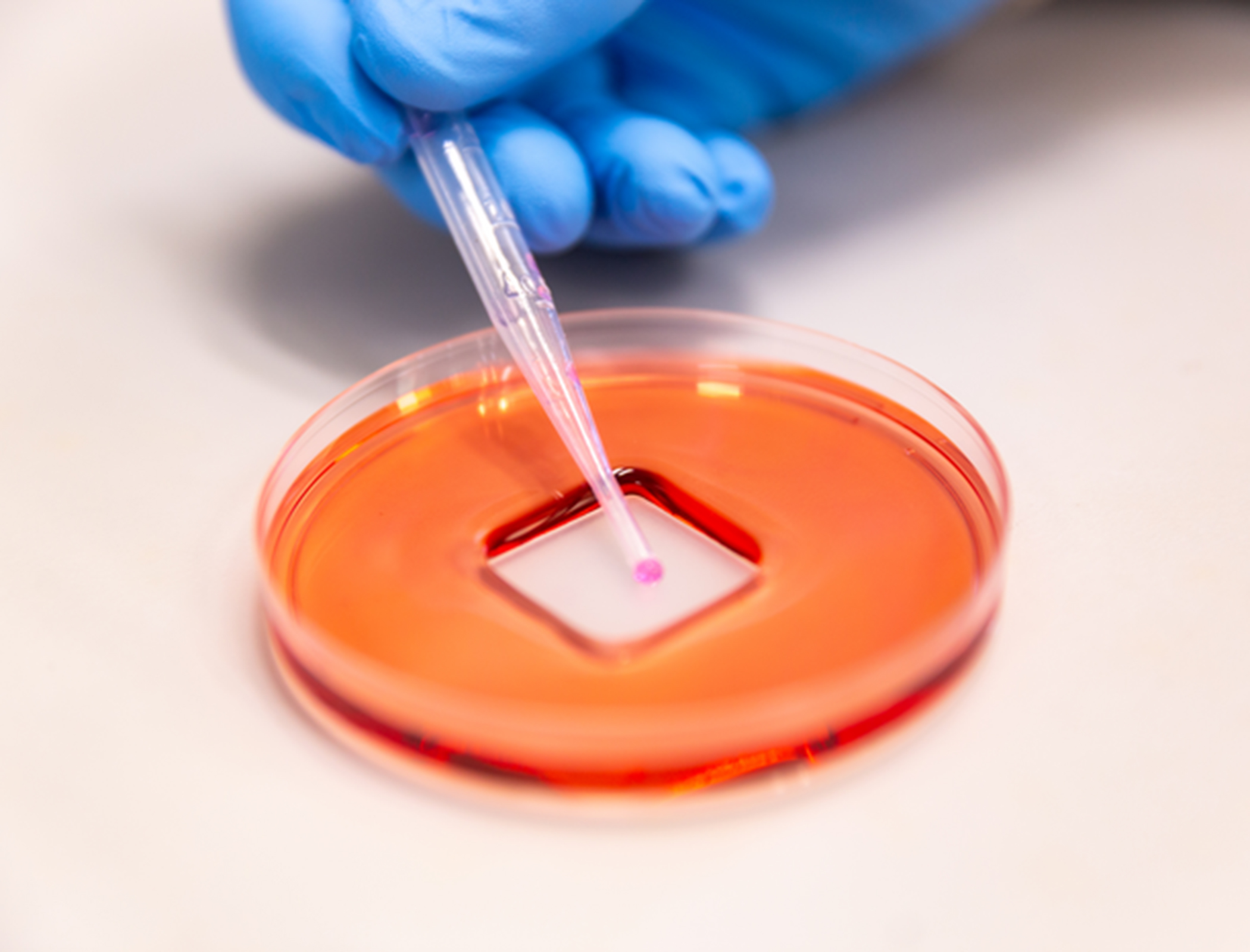 Sprayable coating prevents spread of pathogens including Covid-19
