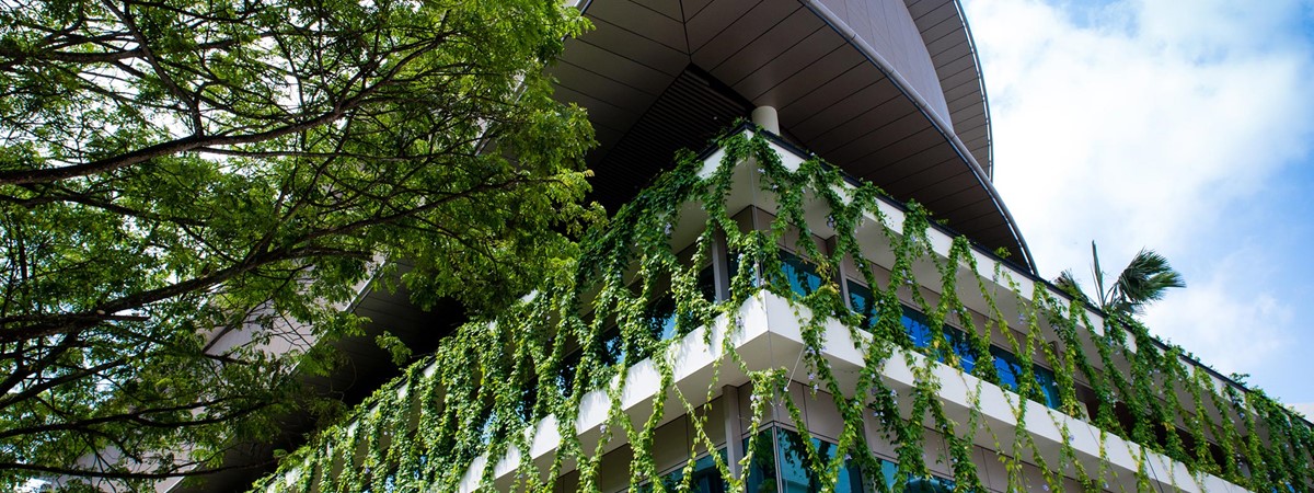 Urban greenery shown to reduce stress levels