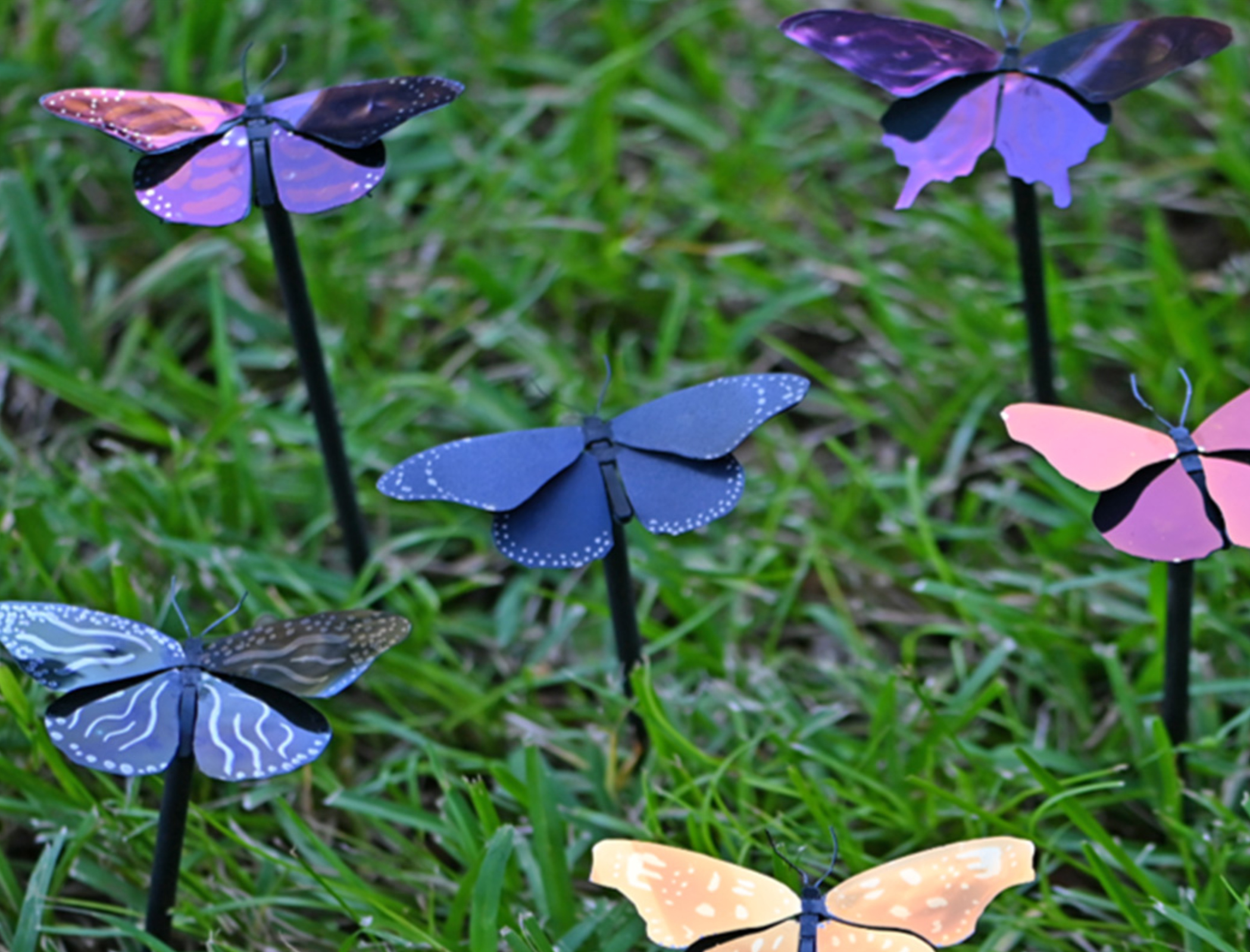 Energy-saving paint created, inspired by butterflies