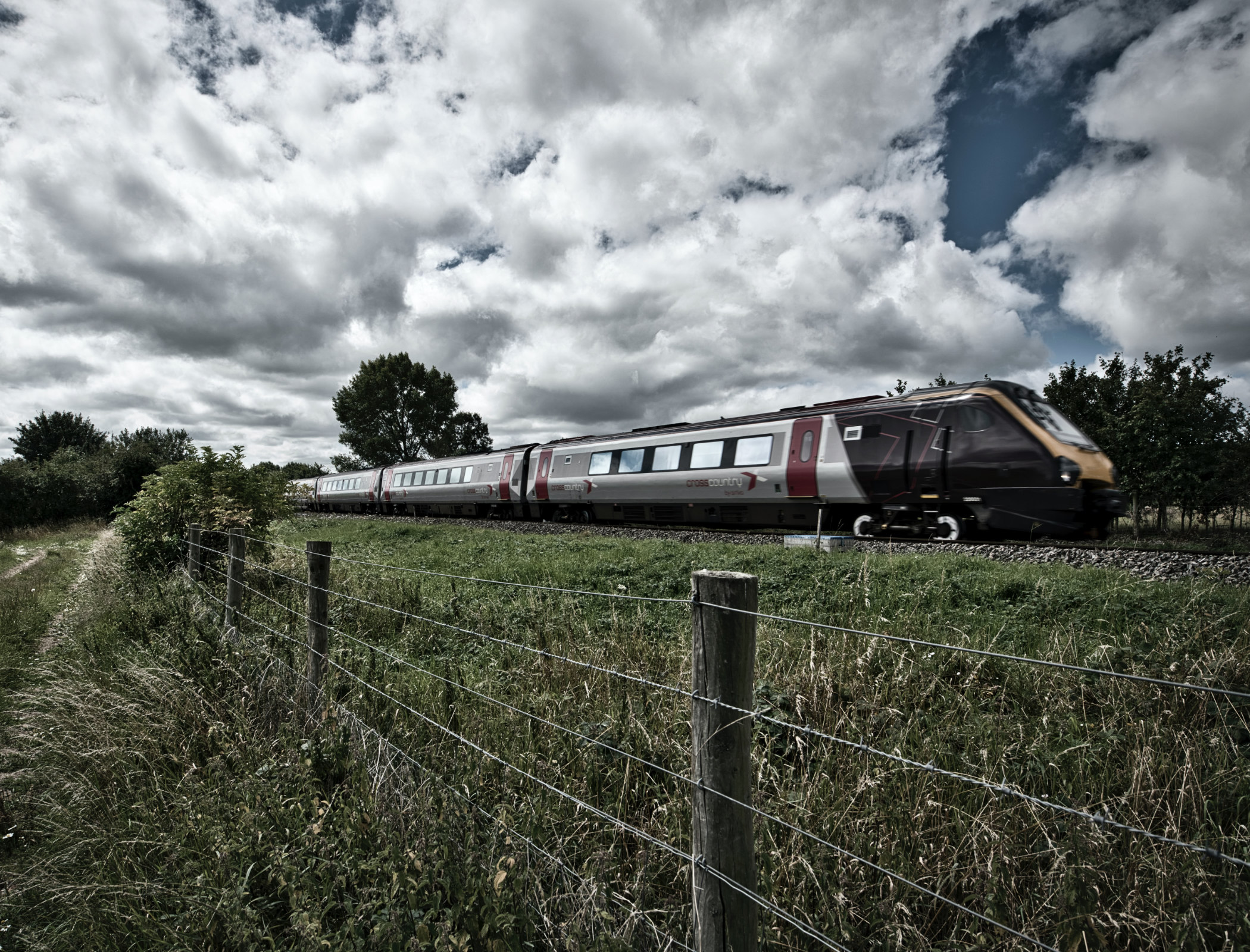 AI image analysis helps track biodiversity by railway lines