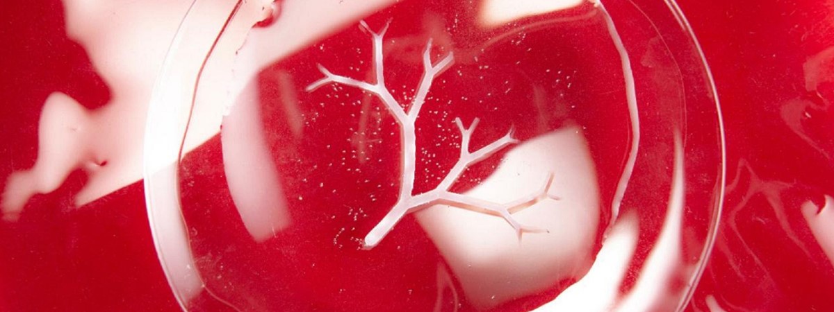 Bacteria used to ‘print’ intricate 3D objects