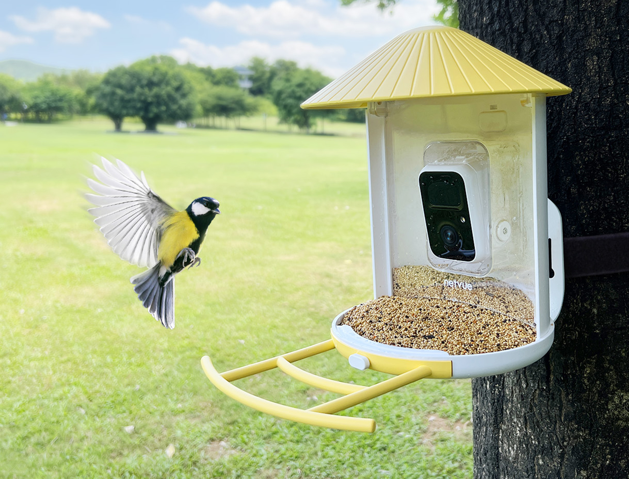 Netvue Birdfy Feeder AI hands-on review