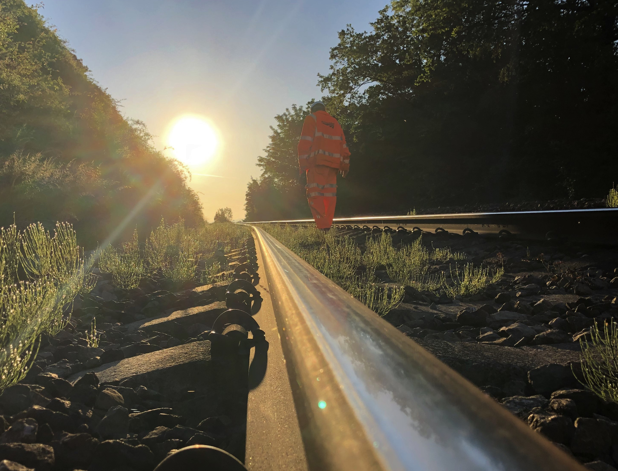 Network Rail launches resilience taskforce following heatwave