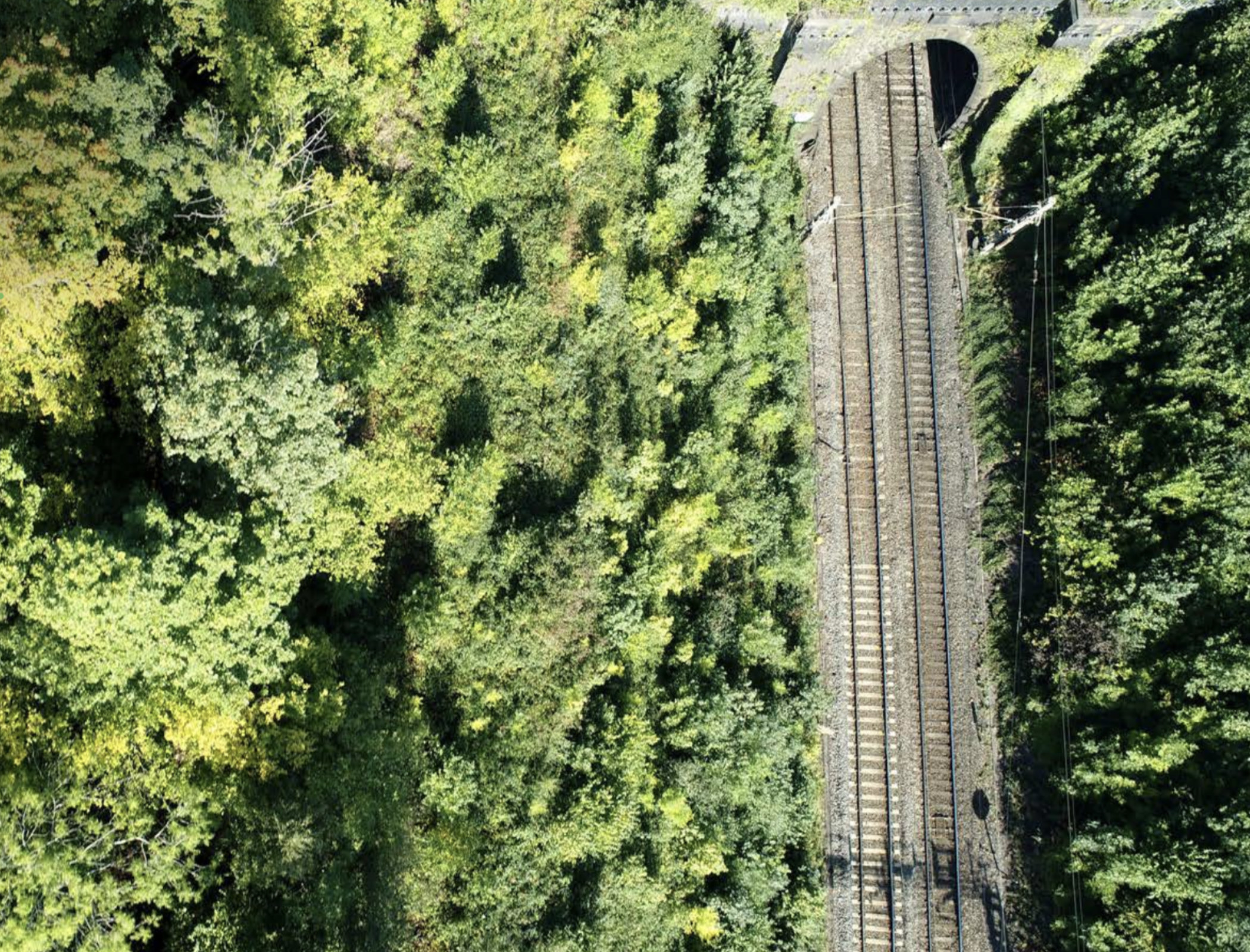 Network Rail signs milestone solar agreement with EDF Renewables