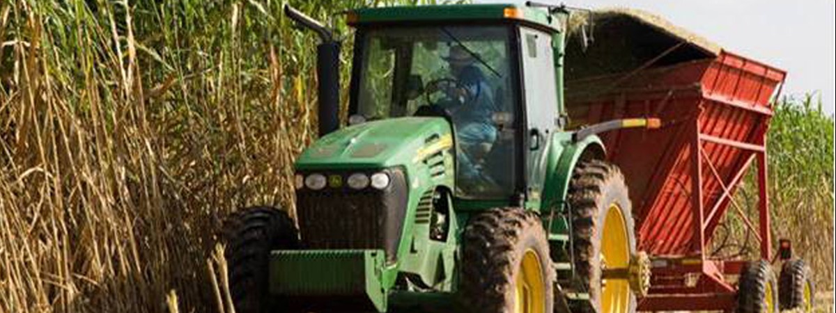 Agriculture byproducts could help produce biodegradable plastics