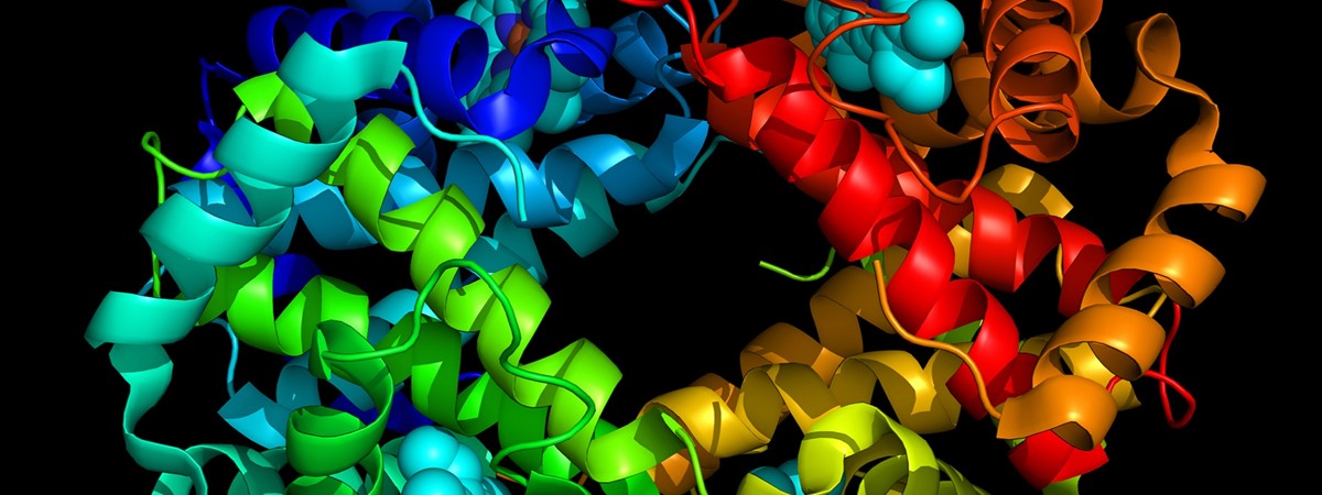 Engineers create protein circuits which respond in seconds