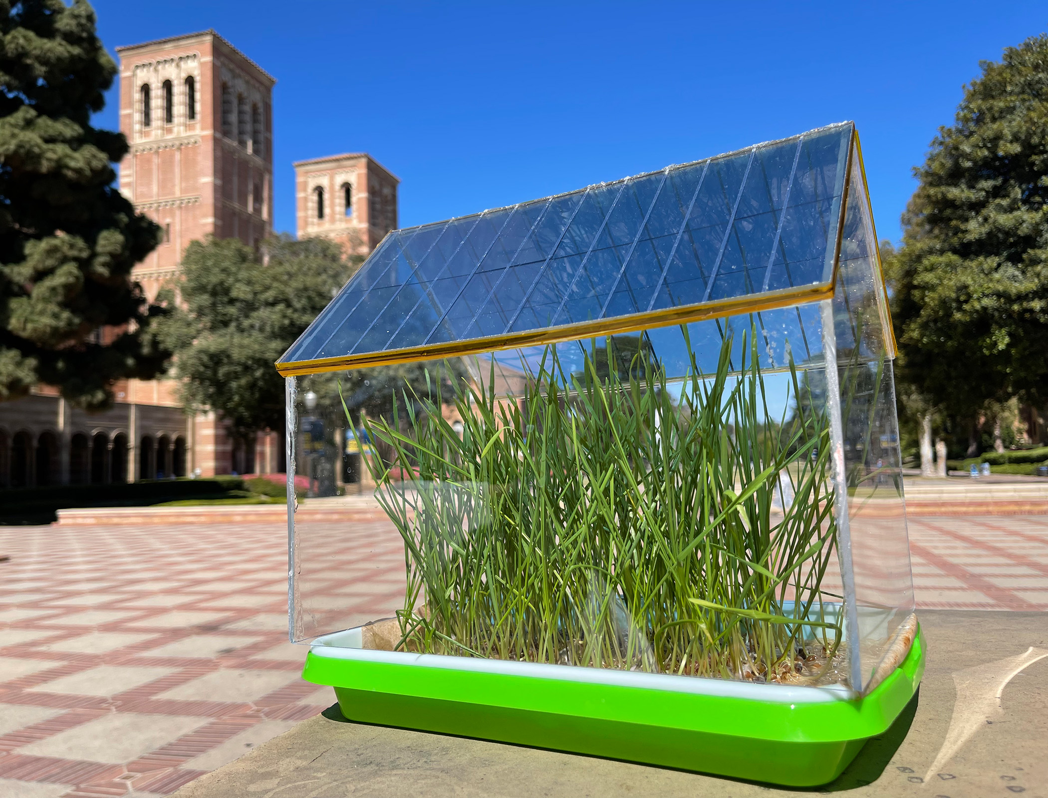 Solar roofs harness sunlight to power crop growth in greenhouses