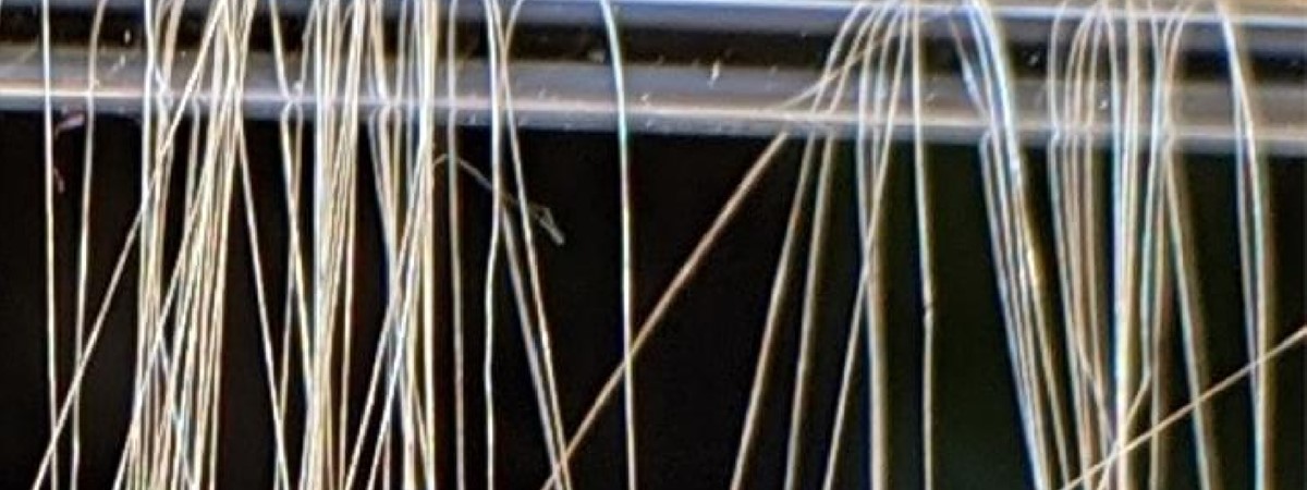 Engineered fibres are stronger than steel and spider silk