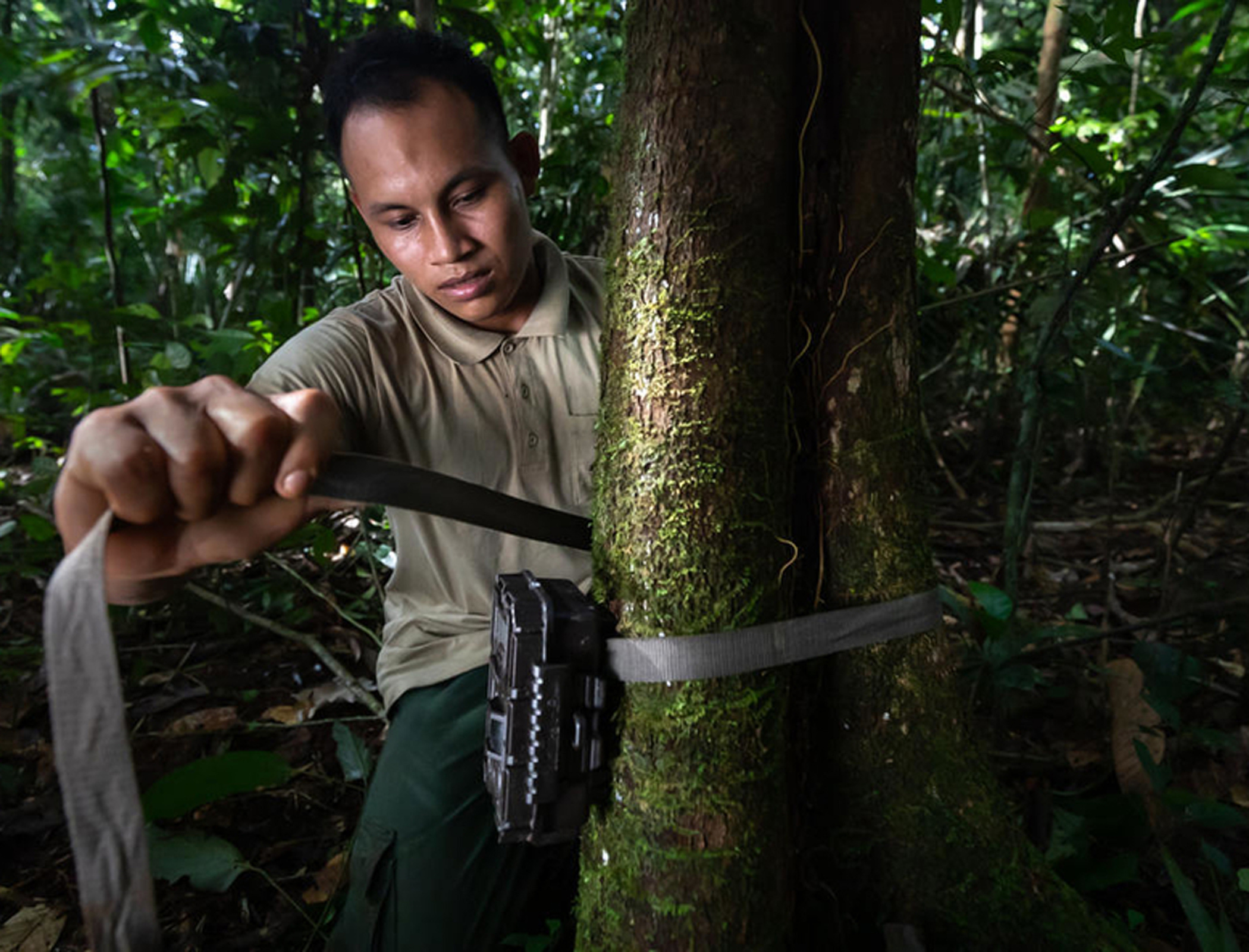 How to capture biodiversity loss