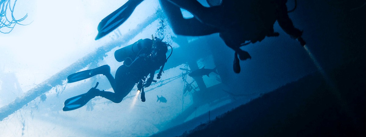 AI system could help protect health of US Navy divers