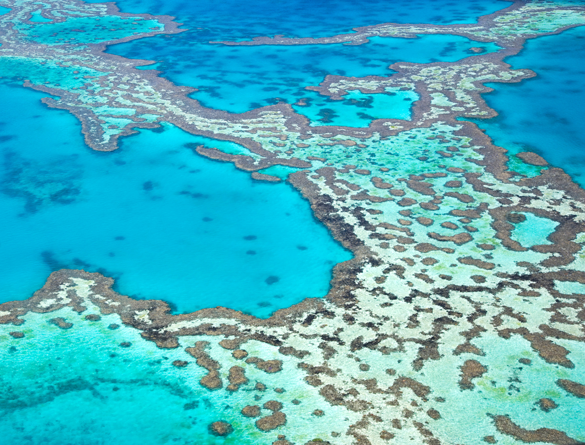 Advanced imaging technique could boost Great Barrier Reef recovery