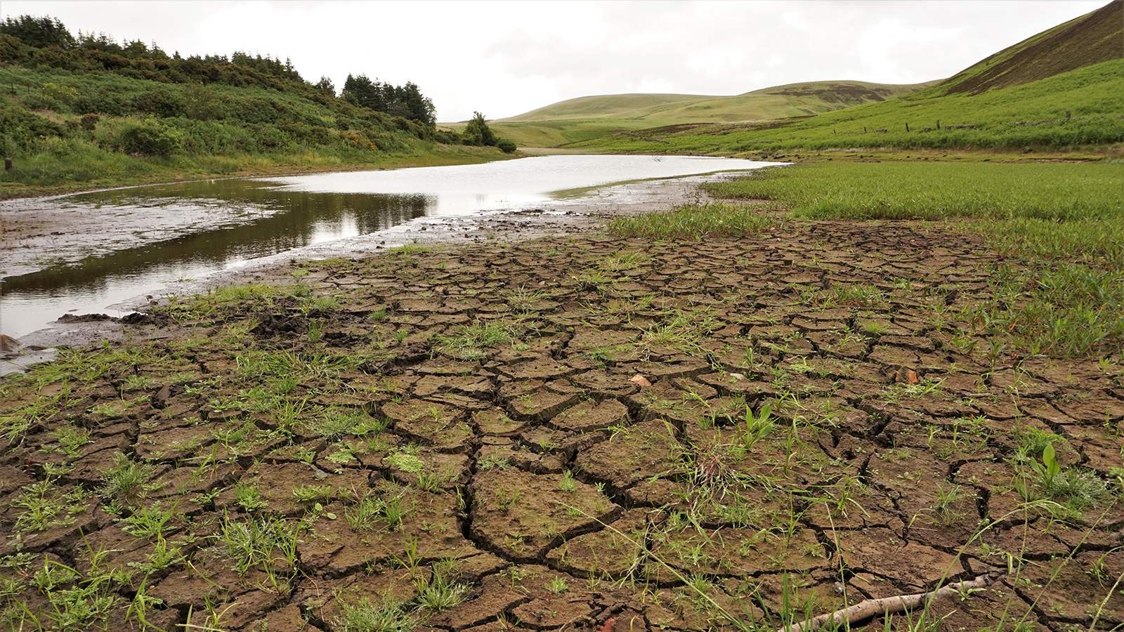 Scotland abandons ‘out of reach’ 2030 climate target