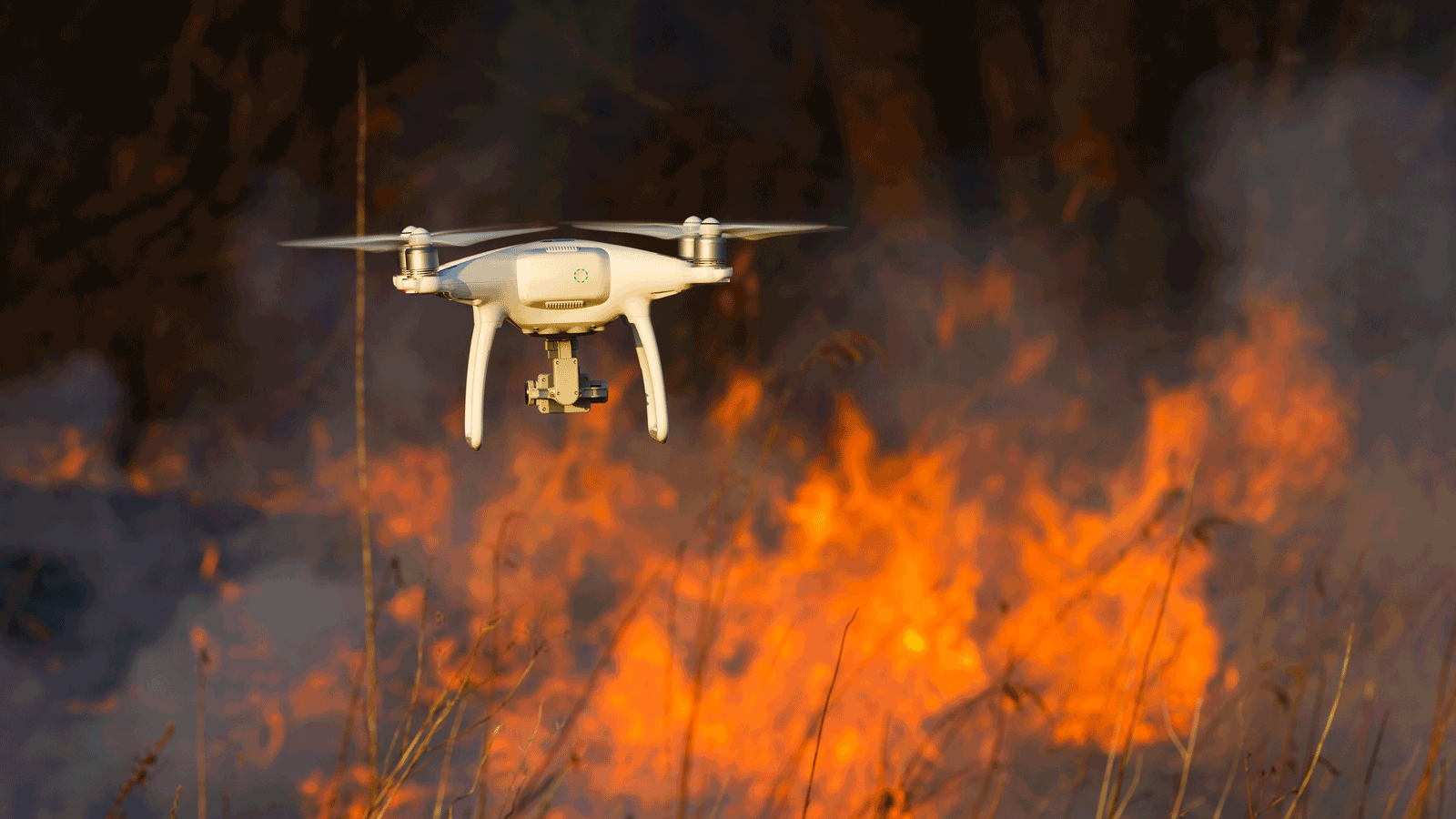 Forest fires could be tackled by swarms of drones