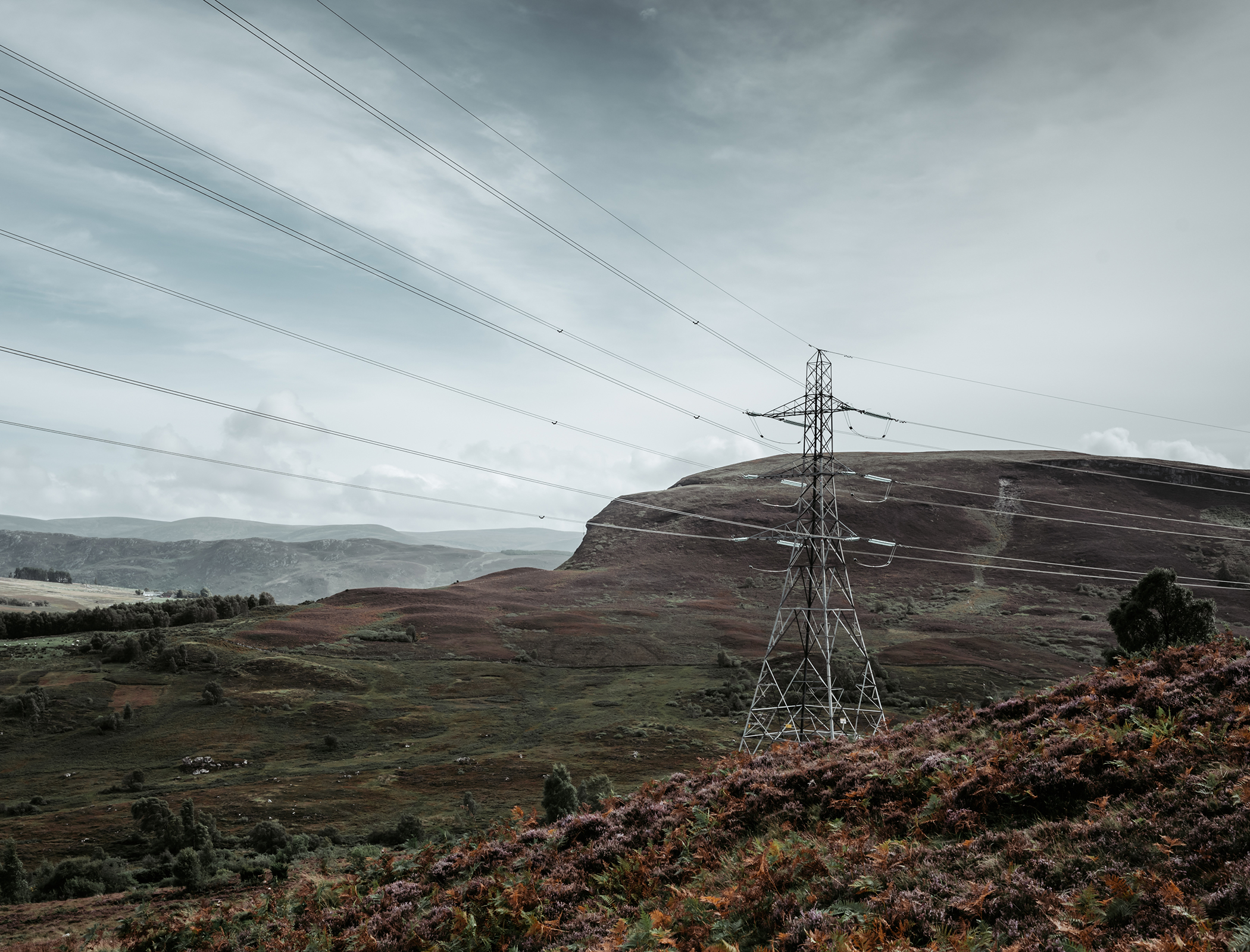 Scotland needs more pylons to support wind power expansion, experts urge