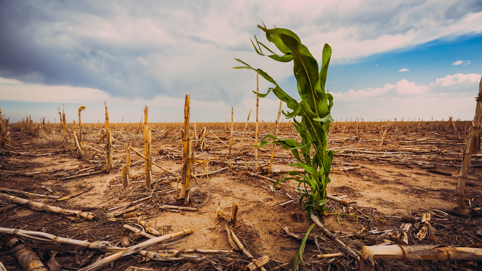 Global warming of more than 3°C could wipe 40% off the world’s economy by 2100