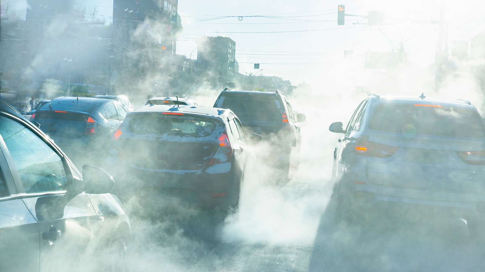 Traffic pollution exposure reduces the ability to live independently in later life, study finds