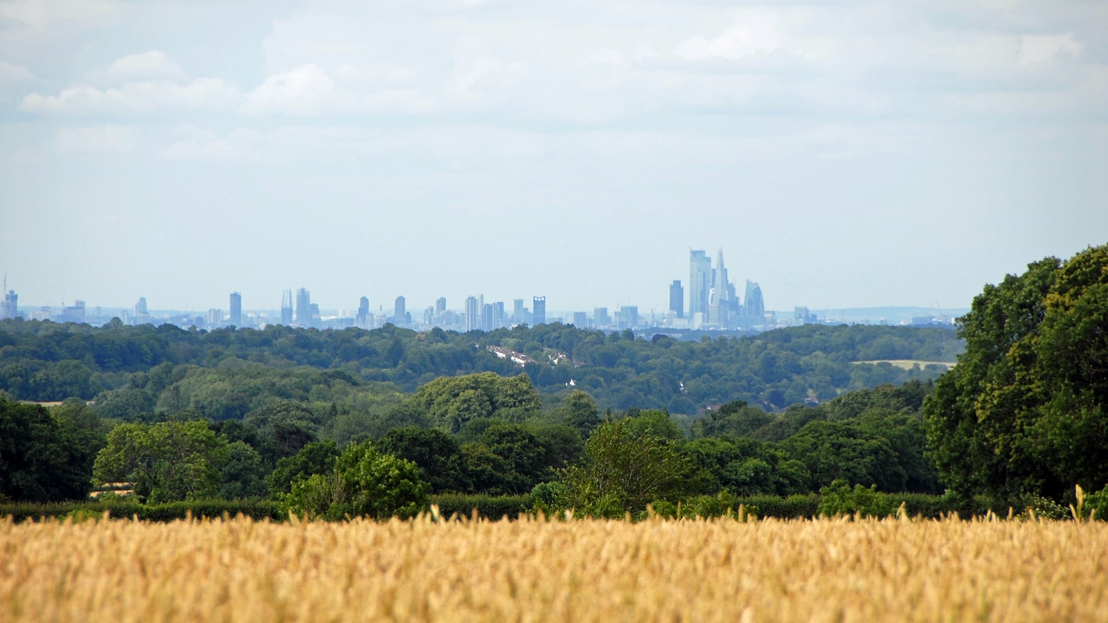 London mayor to ‘actively explore’ building new homes on city’s green belt