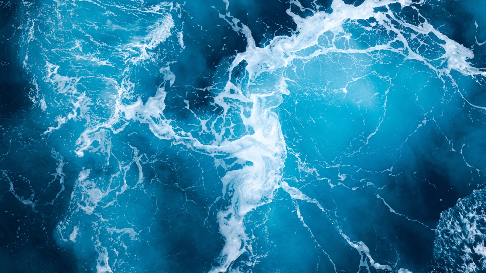 Plastic-like material dissolves in the ocean in less than nine hours