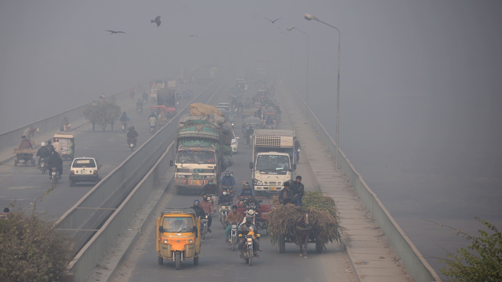 Only 17% of cities meet WHO air pollution guideline, report finds