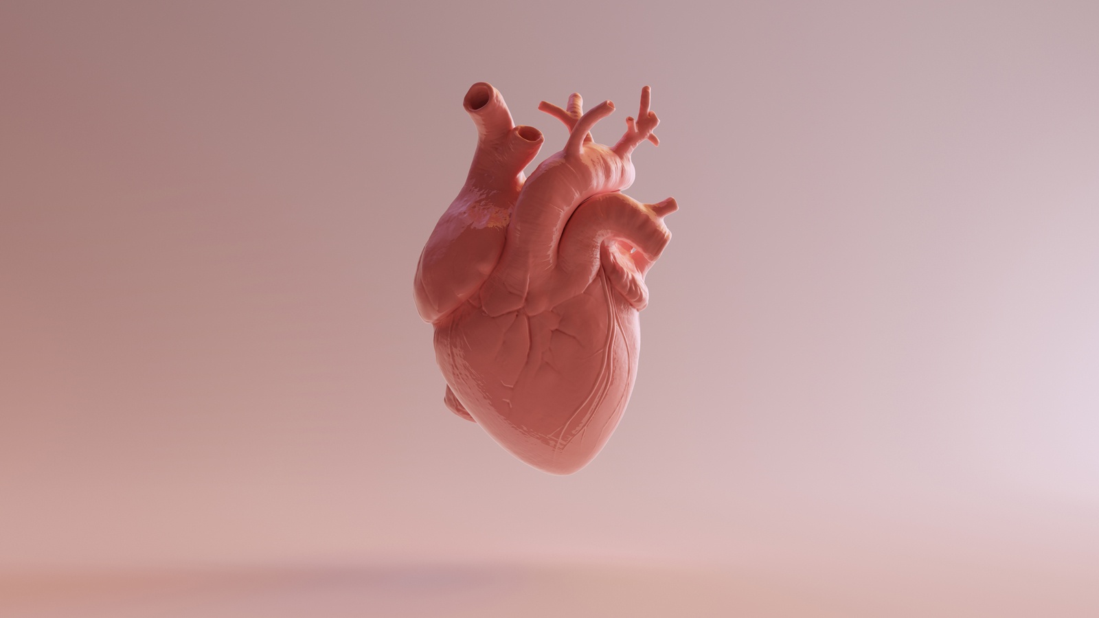 Australian man lives with titanium heart for over 100 days