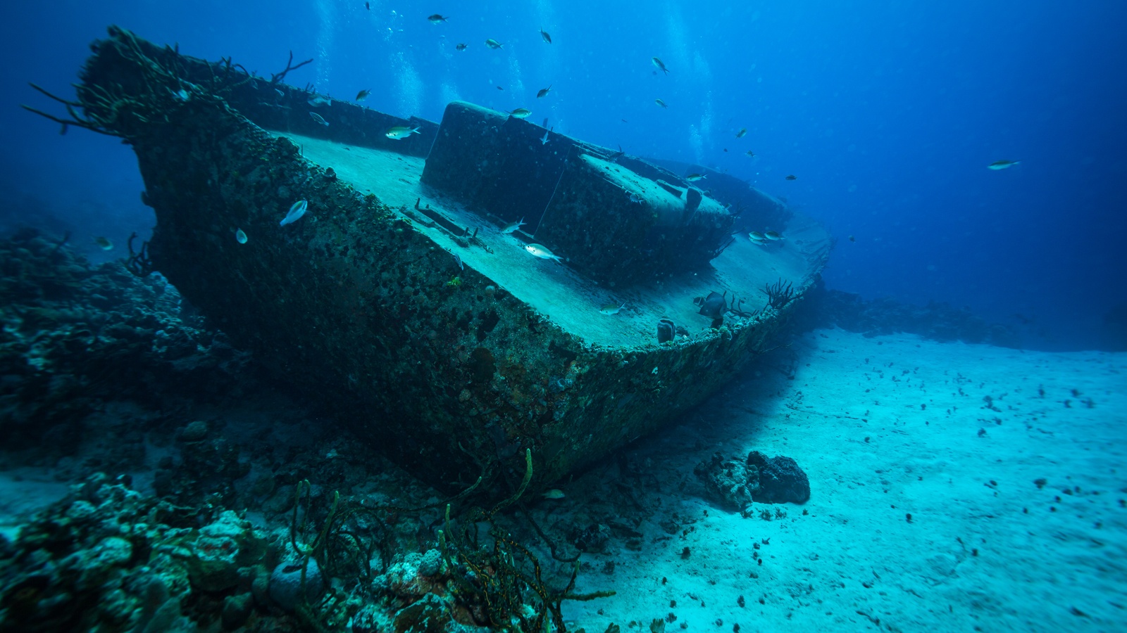 Underwater drone discovers and explores 100-year-old shipwreck