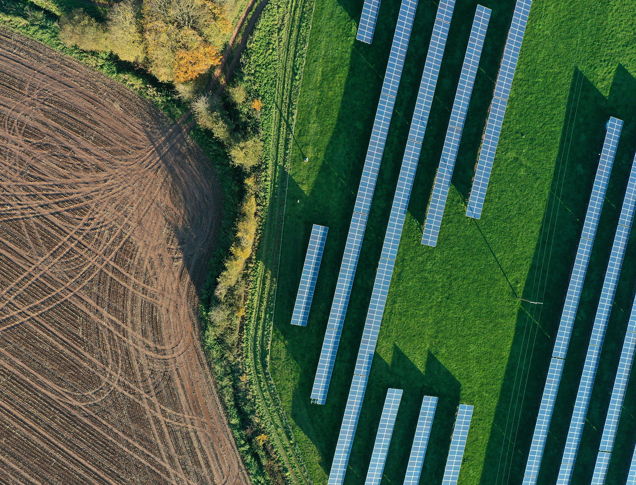 Proposed solar farm restrictions would slap £5bn energy bill on UK households