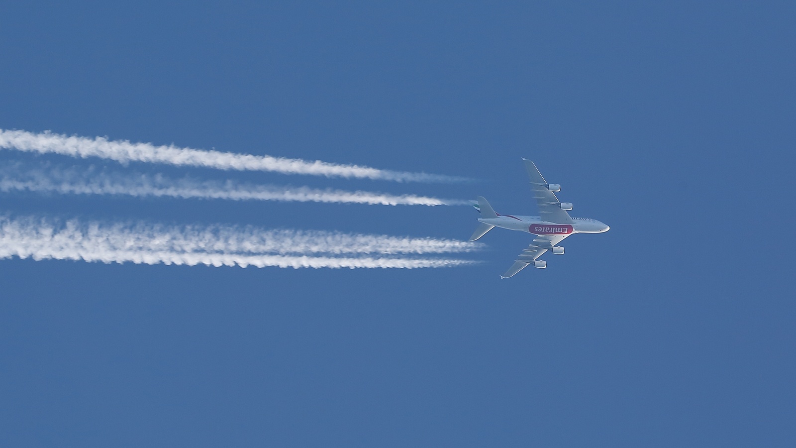 Emissions from European airlines soar to pre-Covid levels, study finds