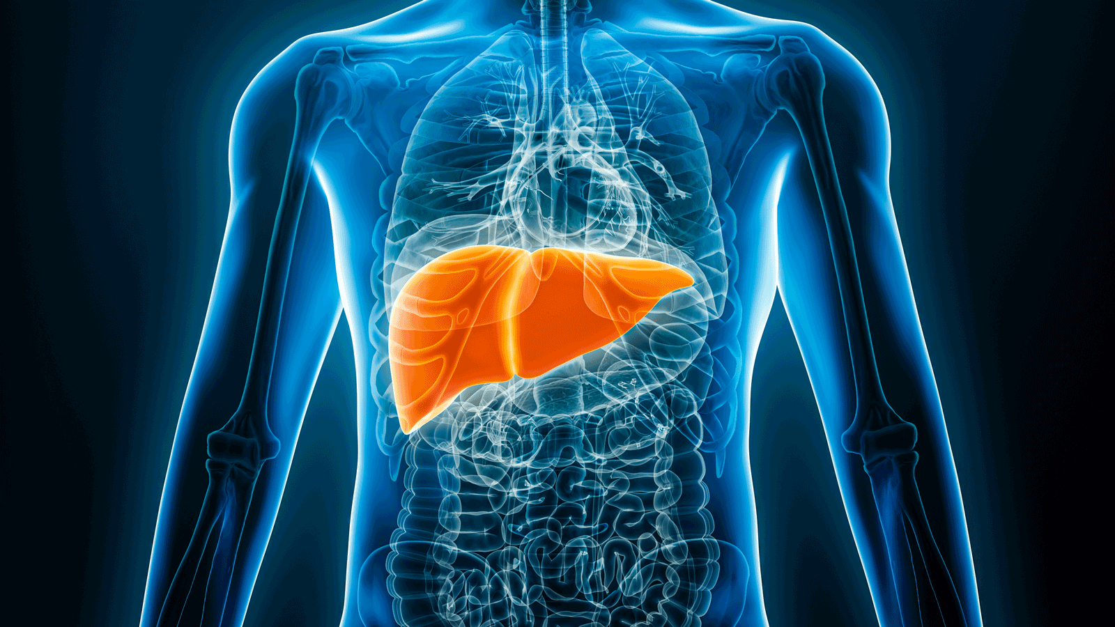 Machine learning helps UK biotech develop liver disease drugs that have led to a $1bn deal