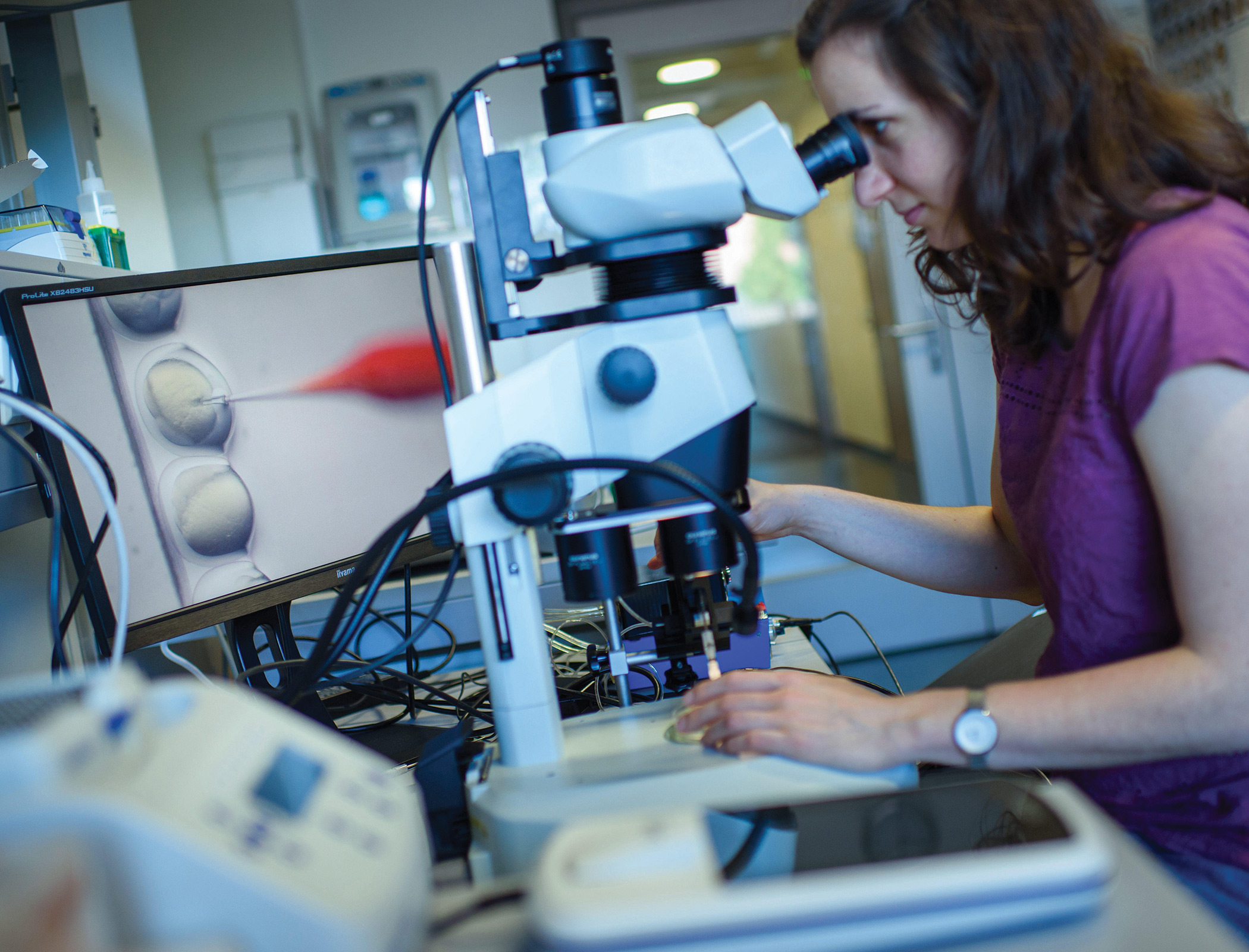 Navigating the ethical minefield of genome editing