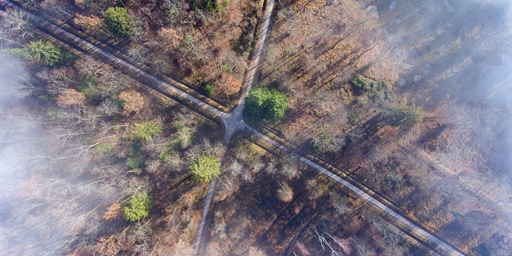 aerial view of a crossroads amongst a forest of trees