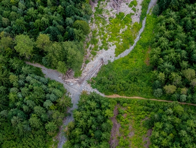 March Highlights on EngX: AI Insights, Inclusive Voices and Engineering Impact