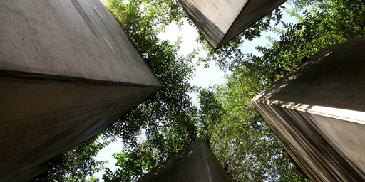 Looking up towards a tree canopy through buildings in an x shape