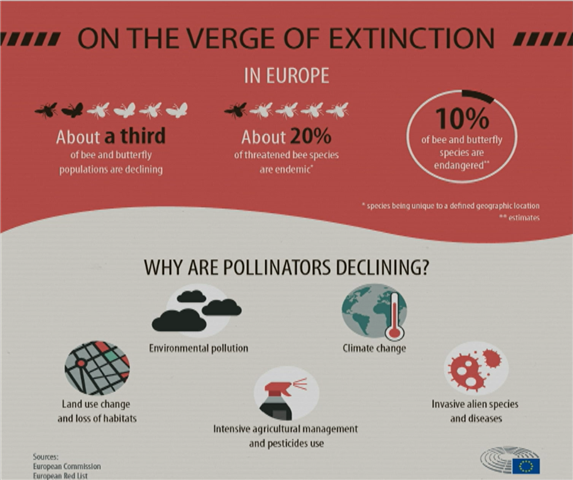 Bees on the verge of extinction