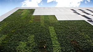 5f203fa53097f4a969cc1f4ac59a2b4e-huge-science-central-living-wall-1-960540.jpg