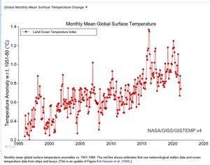 0cbd008a66b2c78944c6adcdc24b6ceb-original-monthly-mean-global-surface-temperature.jpg