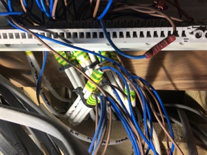 6f781b98665571835876936fea9e13d8-huge-img-0661.jpg