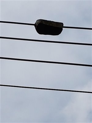 4d4a32972715b9bd43256af36084cf58-original-20180717_133738.jpg
