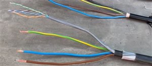 c566b7ae53476d04ccc1d5e99b7bbd6c-original-ev-cable.jpg
